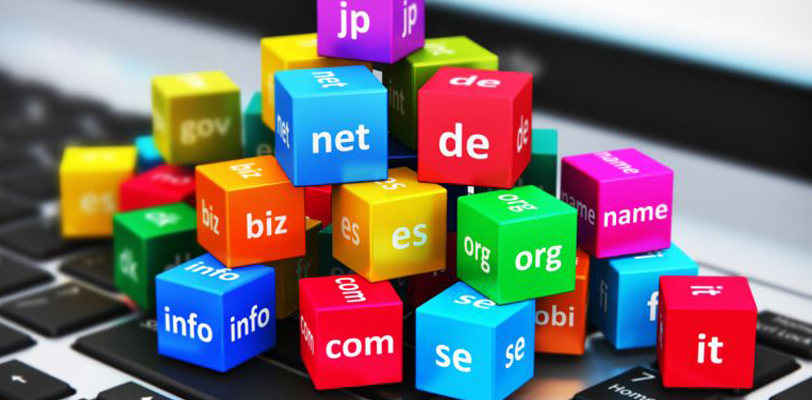 Domain Name Management