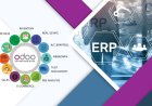 Odoo ERP Resources for the Buyers in UAE for their Business Development