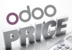 Odoo ERP Pricing Engagement Models for Business Clarifications