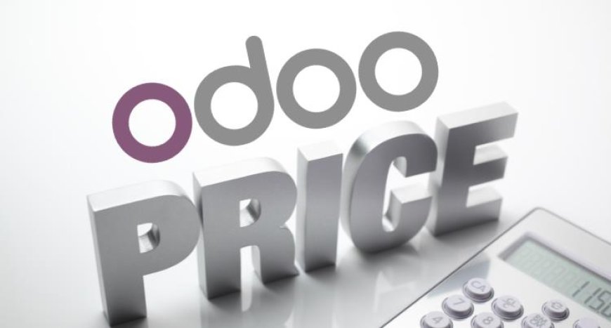 Odoo ERP Pricing Engagement Models for Business Clarifications