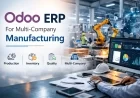 Odoo  ERP For Multi-Company Manufacturing