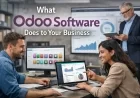 What Odoo Software Does to Your Business ?