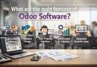 What are the main features of Odoo software?