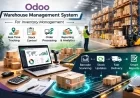 Odoo Warehouse Management System For Inventory Management
