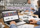 What Makes Odoo a Cost-Effective ERP Solution