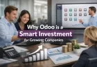 Why Odoo is a Smart Investment for Growing Companies
