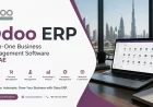 Why is Odoo considered an all-in-one business management software?