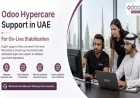 Odoo Hypercare Support in UAE