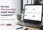 How does Odoo accounting simplify financial management?