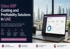 Odoo ERP Costing and Profitability Solutions In UAE