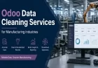 Odoo Data Cleaning Services for Manufacturing Industries