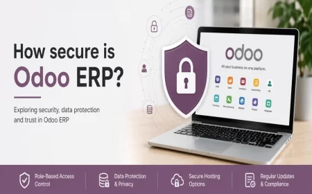 How secure is Odoo ERP?