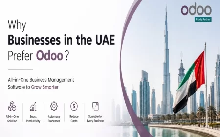 Why Businesses in the UAE Prefer Odoo?