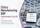 Odoo Manufacturing ERP Implementation Cost UAE